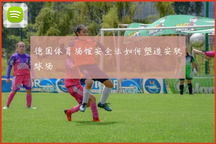 德国体育场馆安全法如何塑造安联球场