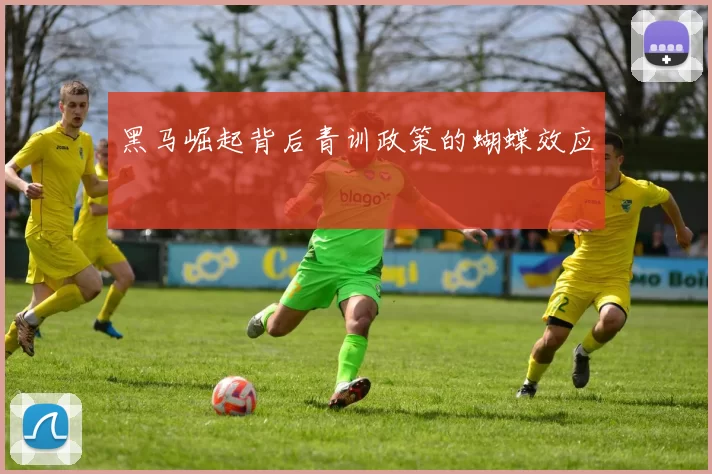 黑马崛起背后青训政策的蝴蝶效应