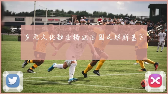 多元文化融合铸就法国足球新基因