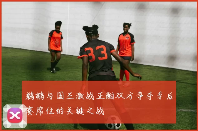 鹈鹕与国王激战正酣双方争夺季后赛席位的关键之战