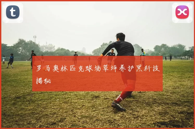 罗马奥林匹克球场草坪养护黑科技揭秘