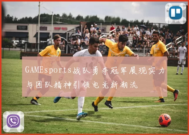 GAMEsports战队勇夺冠军展现实力与团队精神引领电竞新潮流