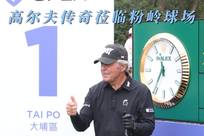 阵容分析与